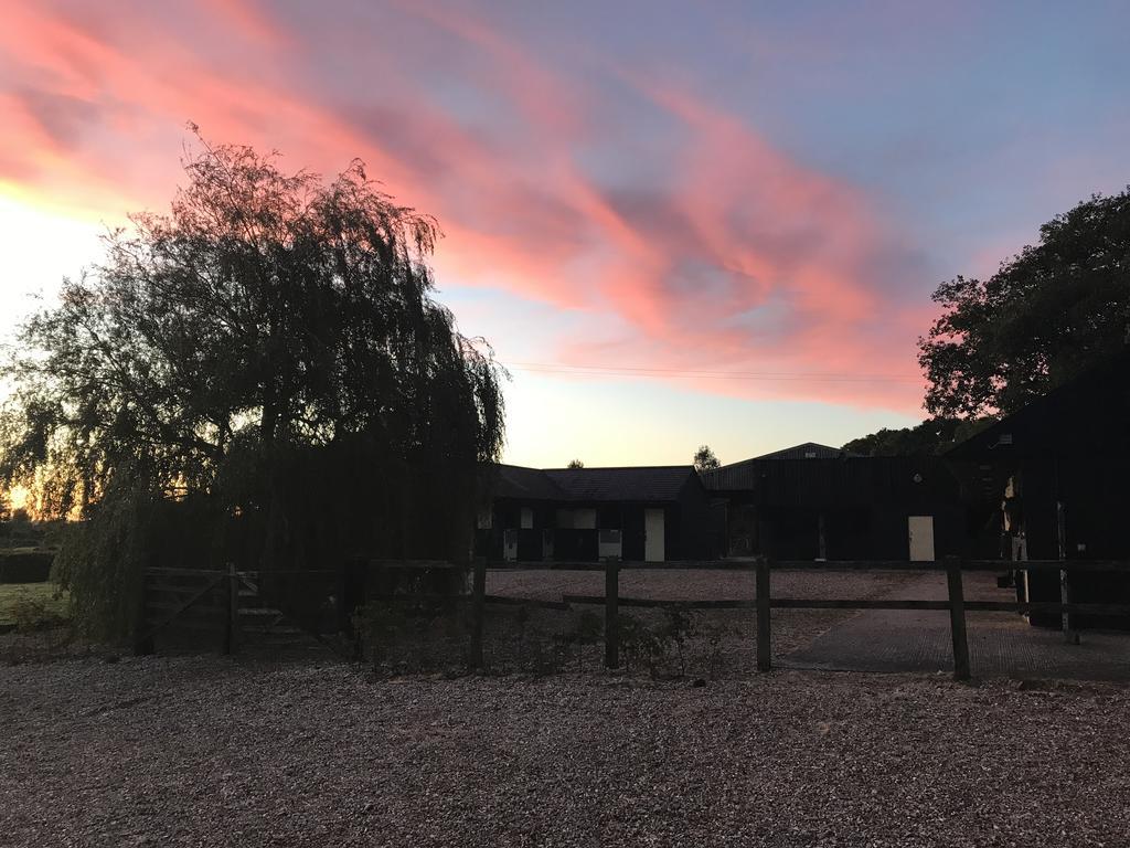 Pleck Barn B&B Ansty エクステリア 写真