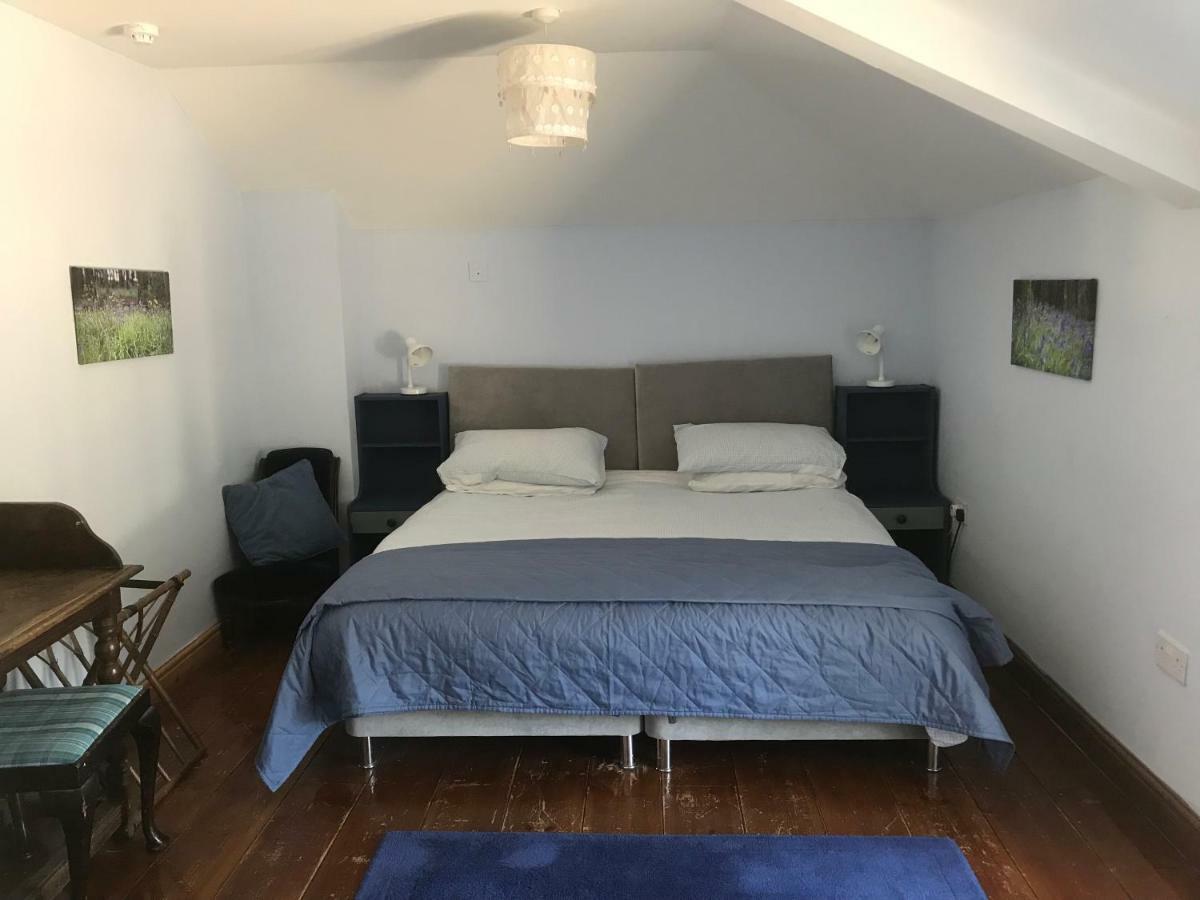 Pleck Barn B&B Ansty エクステリア 写真